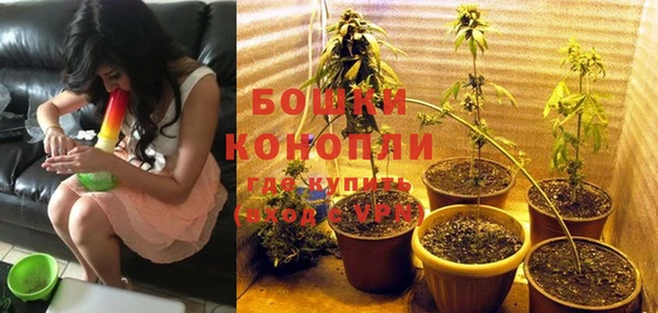 крисы Нея