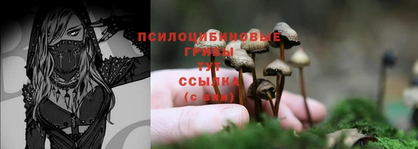 крисы Нея