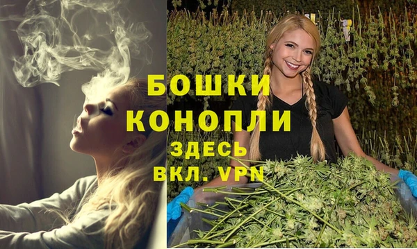 крисы Нея