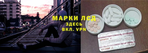 крисы Нея