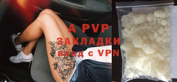 крисы Нея